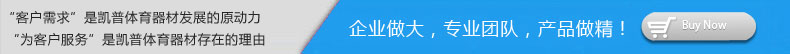 xc体育专长,【乒乓球台,篮球架,室外健身器材,现浇塑胶场地】.