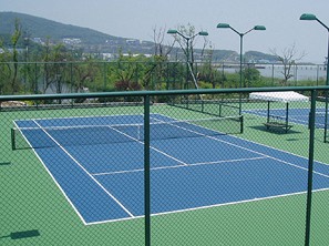 xc体育 8181e